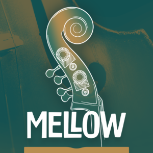 UJAM VB MELLOW PLUG-IN VIRTUAL INSTRUMENTS PER CREARE TRACCE DI CONTRABBASSO