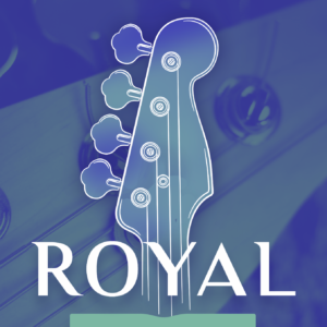 UJAM VB ROYAL PLUG-IN VIRTUAL INSTRUMENTS PER CREARE TRACCE DI BASSO ELETTRICO POP – ROCK – INDIE