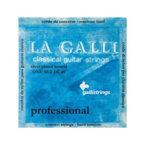 MUTA CHITARRA CLASSICA GALLI LG40