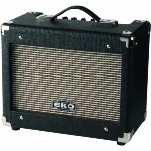 AMPLIFICATORE Eko V10 The beetle 10W