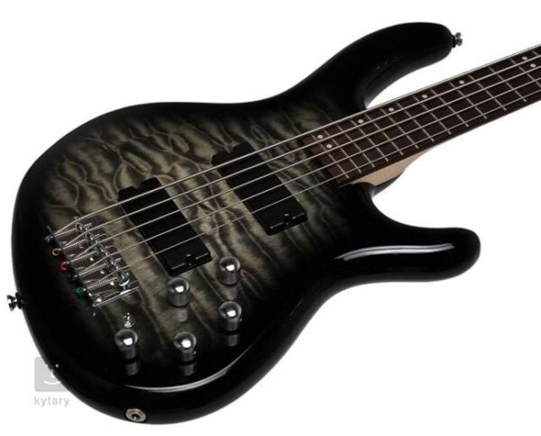BASSO CORT ACTION DLX V PLUS CRS + CUSTODIA RIGIDA SAGOMATA