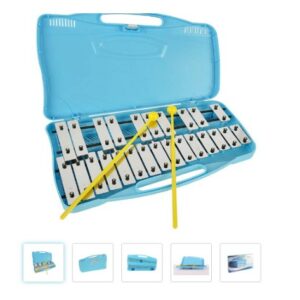 Glockenspiel 25 note (sostituisceAX-25N2)Glockenspiel 25 note, SOL-SOL, con astuccio colorato, include mallet.