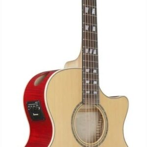 Ibanez ae170-ntr