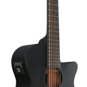 Ibanez aeg721-bot