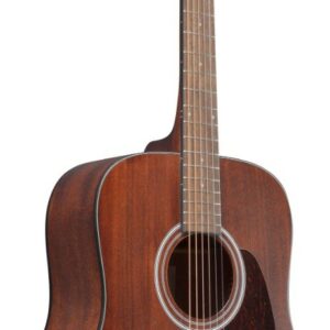 Ibanez artwood aw54-opn