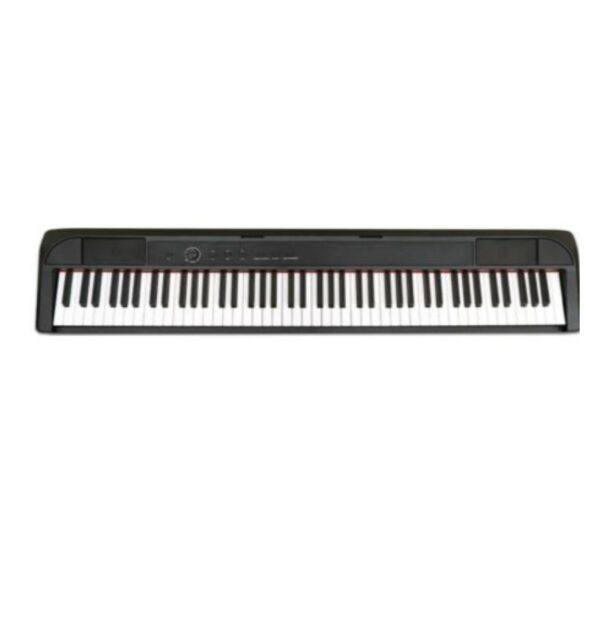 PIANO DIGITALE ECHORD DP1