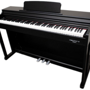 ECHORD ECHORD DPX100 SB SATIN BLACK PIANOFORTE DIGITALE 88 TASTI PESATI NERO SATINATO