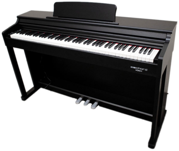 ECHORD ECHORD DPX100 SB SATIN BLACK PIANOFORTE DIGITALE 88 TASTI PESATI NERO SATINATO