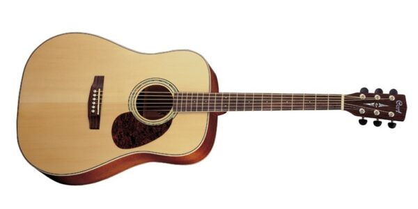 Cort earth 100 ns