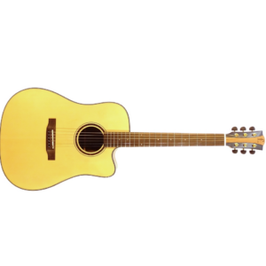 EFFEDOT D-2-28G-CEQ CHITARRA ACUSTICA DREADNOUGHT AMPLIFICATA FINITURA LUCIDA FASCE E FONDO IN PALISSANDRO MANICO IN MOGANO PRE FISHMAN COLORE NATURAL