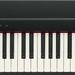Roland go:piano88 go-88px
