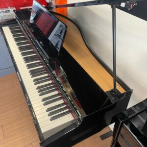 Roland gp-3 demo in esposizione