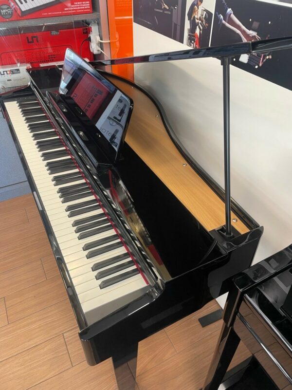 Roland gp-3 demo in esposizione