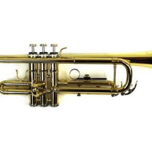 LUKE & DANIEL TR6418L TROMBA IN SIB CON FINITURA LACCATA ORO + CUSTODIA