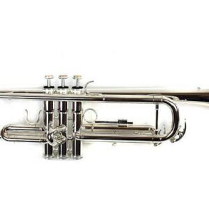 LUKE & DANIEL TR6418S TROMBA IN SIB CON FINITURA LACCATA ARGENTATA + CUSTODIA