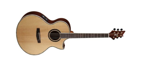 Cort ndx-50 nat