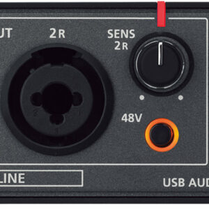 ROLAND RUBIX 22 INTERFACCIA AUDIO AD ALTA RISOLUZIONE 24 BIT 192 KHZ 2 IN 2 OUT PER PC MAC E iPAD