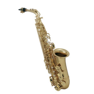 ROY BENSON AS202 SASSOFONO CONTRALTO IN MIb LACCATO SAX ALTO