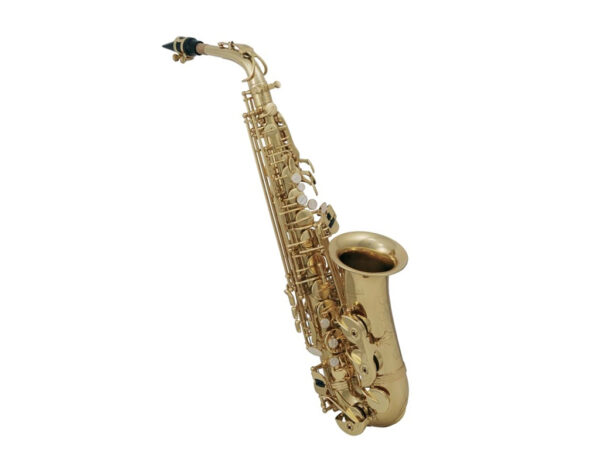 ROY BENSON AS202 SASSOFONO CONTRALTO IN MIb LACCATO SAX ALTO