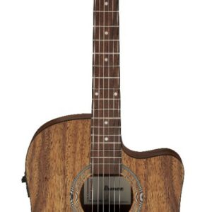Ibanez v40wsce-opb