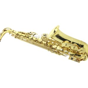 ALYSEE A808L SAX CONTRALTO CON ASTUCCIO