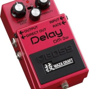 Boss dm-2w delay waza