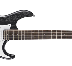 Cort g100 opb