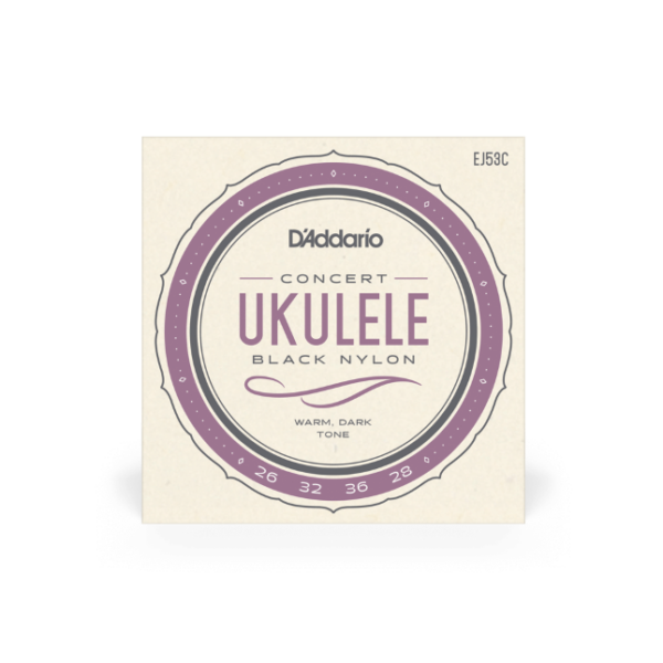D'addario ej53c pro-arte rectified