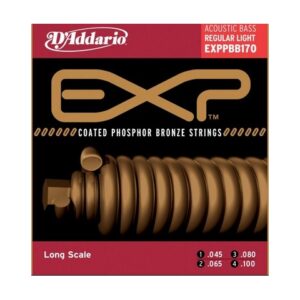D’ADDARIO EXPPBB170 BASSO ACUSTICO 045-100