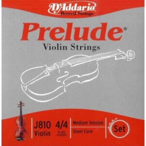 D’ADDARIO J810 SET COILED CORDE VIOLINO