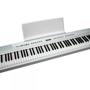 Echord sp10 white