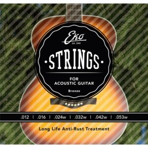 Eko corde chitarra acustica 12-53