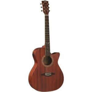 Eko duo a200ce fishman flex plus tuner