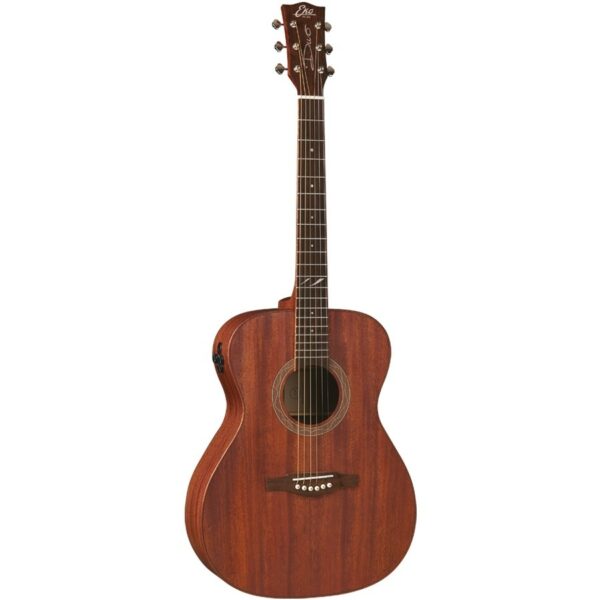 Eko duo a200e fishman flex plus tuner