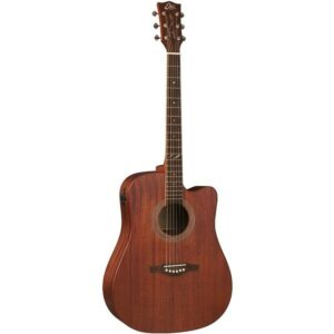 Eko duo d200ce fishman flex plus tuner