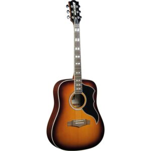 Eko ranger vi vr honey burst