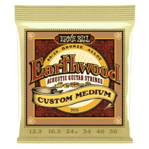 Ernie ball 2005 earthwood