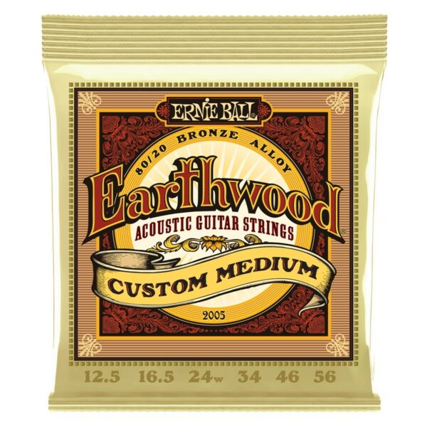 Ernie ball 2005 earthwood