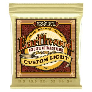 Ernie ball 2007 earthwood