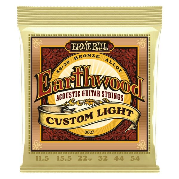 Ernie ball 2007 earthwood