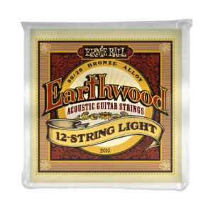 Ernie ball 2010 earthwood 12-string