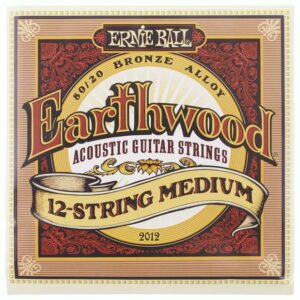 Ernie ball 2012 earthwood 12-string