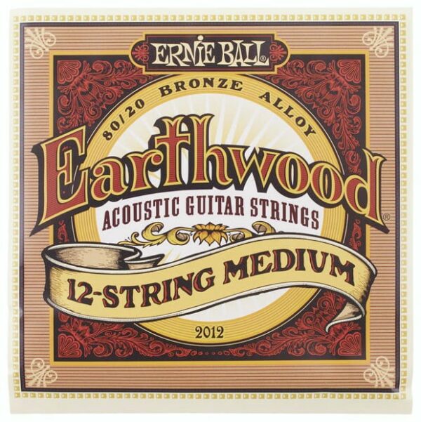 Ernie ball 2012 earthwood 12-string