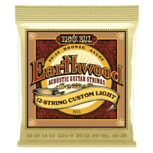 Ernie ball 2013 earthwood 12-string