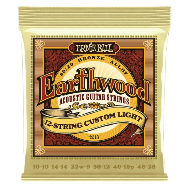 Ernie ball 2013 earthwood 12-string