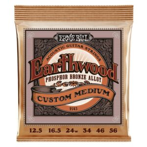 Ernie ball 2143 earthwood