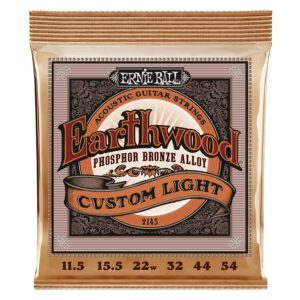 Ernie ball 2145 earthwood