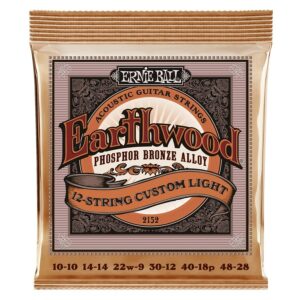 Ernie ball 2152 earthwood 12-string