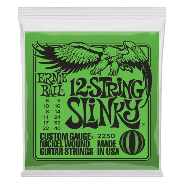 Ernie ball 2230 12-string slinky