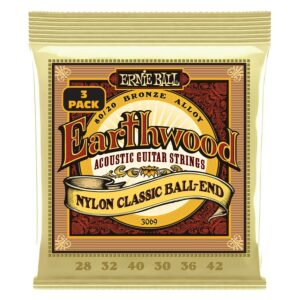 Ernie ball 3069 3pack